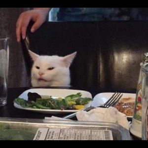 Meet your Posher, Amelia